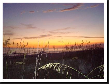 sunset of panama city beach with sea oats